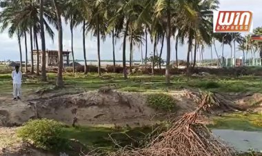 பாம்பன் குந்துகால் துறைமுகம் மீனவர்களுக்கு பயன் படாத துறைமுகம் என மீன்வளத்துறை மீது மீனவர்கள் குற்றச்சாட்டு