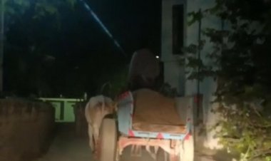 பாலாற்றில் நடுராத்திரியில் 65 மாட்டு வண்டிகளில் எந்த அச்சமின்றி மணல் கடத்தல் கண்டுகொள்ளாத..?. வருவாய்த்துறை - காவல் துறை..!!