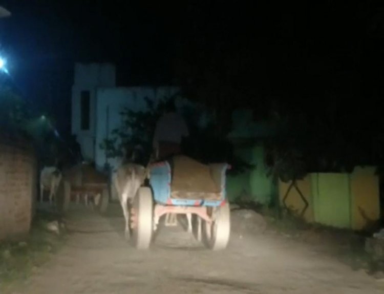 பாலாற்றில் நடுராத்திரியில் 65 மாட்டு வண்டிகளில் எந்த அச்சமின்றி மணல் கடத்தல் கண்டுகொள்ளாத..?. வருவாய்த்துறை - காவல் துறை..!!