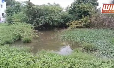 திருப்பூர் மாநகராட்சி 2 வது வார்டில் சாக்கடை வடிகால் இன்றி சுகாதார சீர்கேடு  கண்டுகொள்ளாத கவுன்சிலர் பொதுமக்கள் கண்டனம்